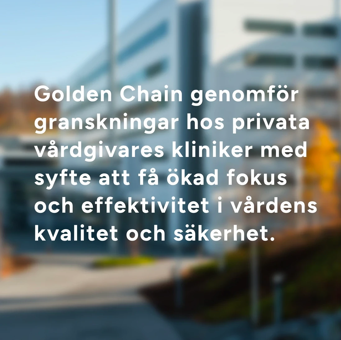 Project Gallery Image for 50% width of the screen #1