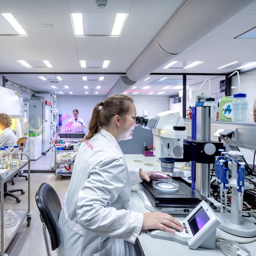 Çalışanları keşfedin