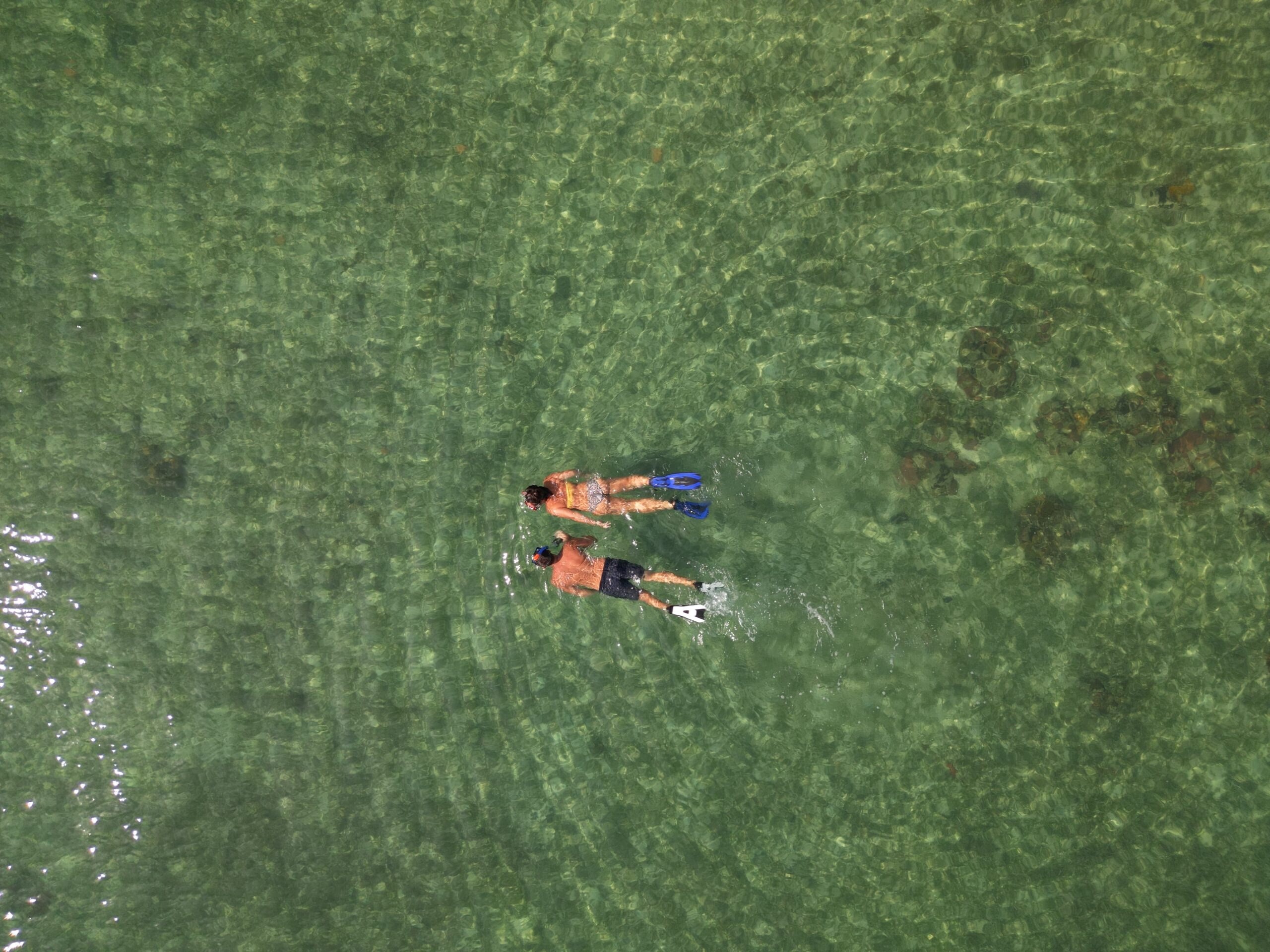 Two people snorkeling in clear water.