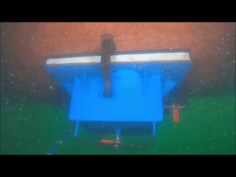 photography of two persons underwater