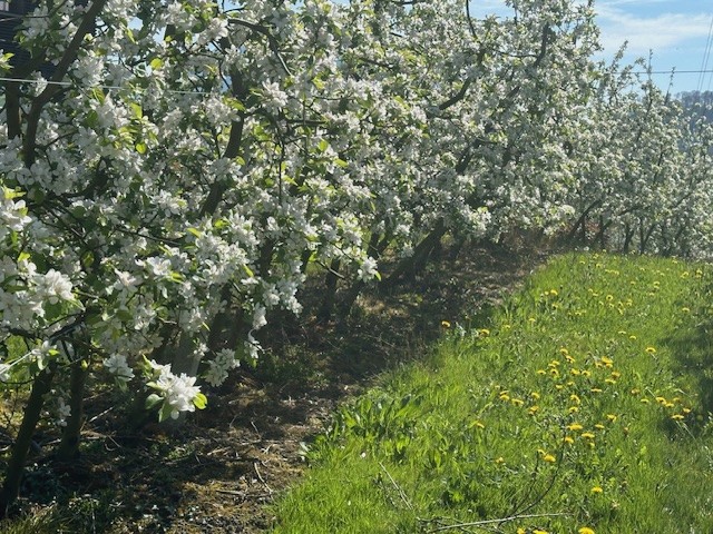 Ursula Bucher mit ihrem Sohn Leon im Skiurlaub