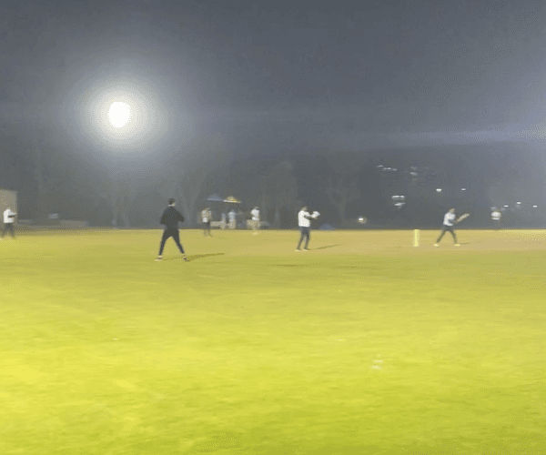Cricket Ground with night light