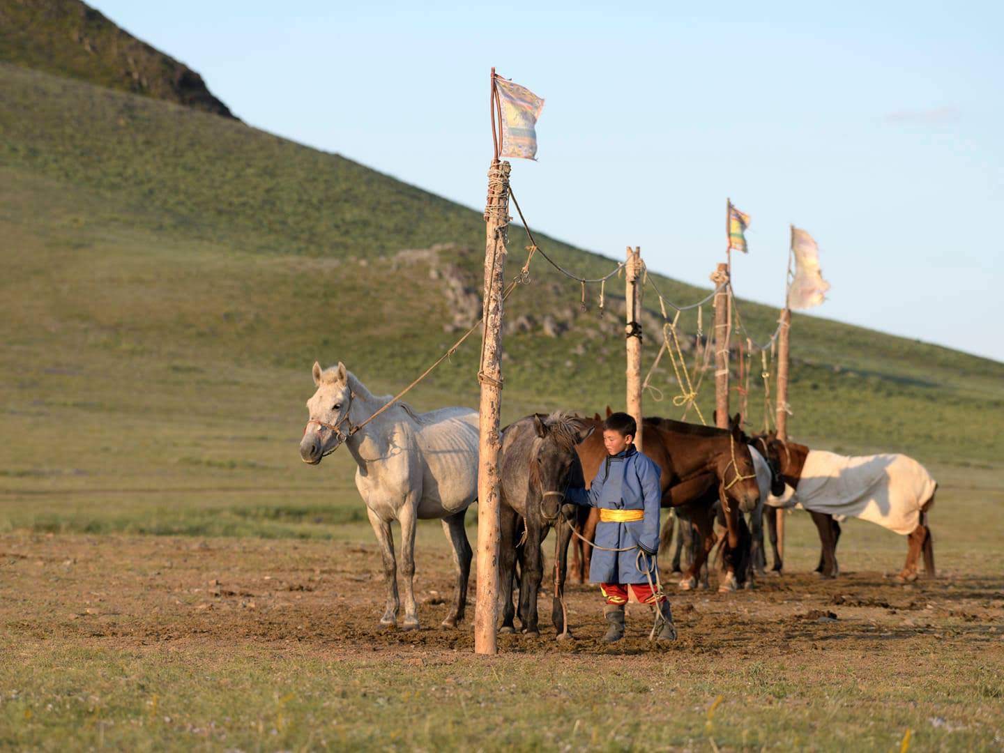 architectural photography of brown building