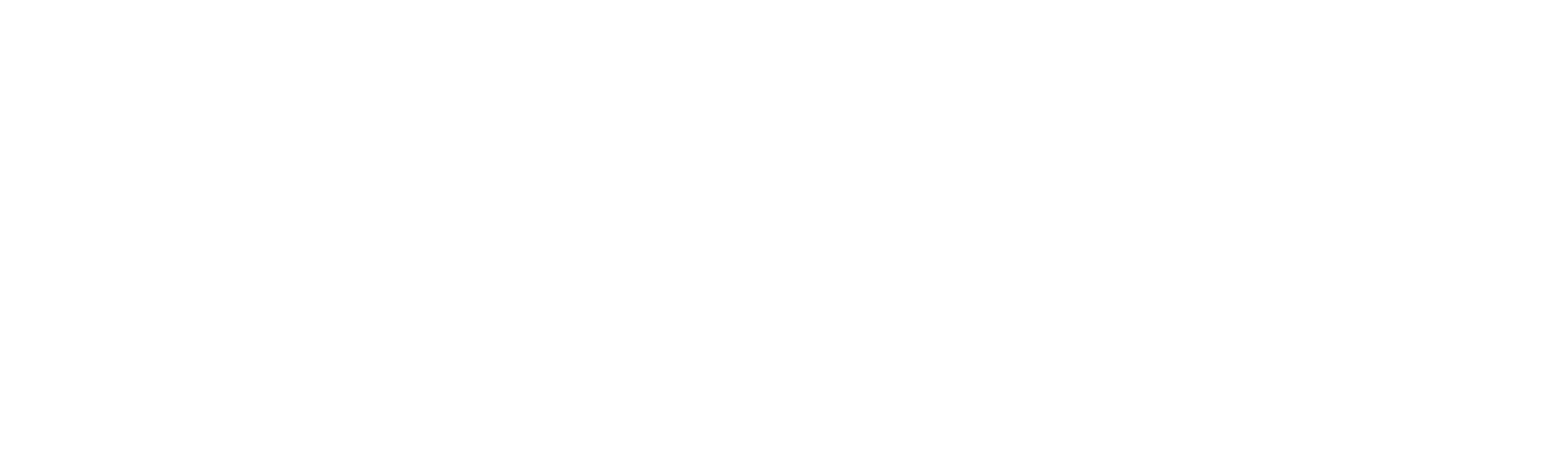 NERVE