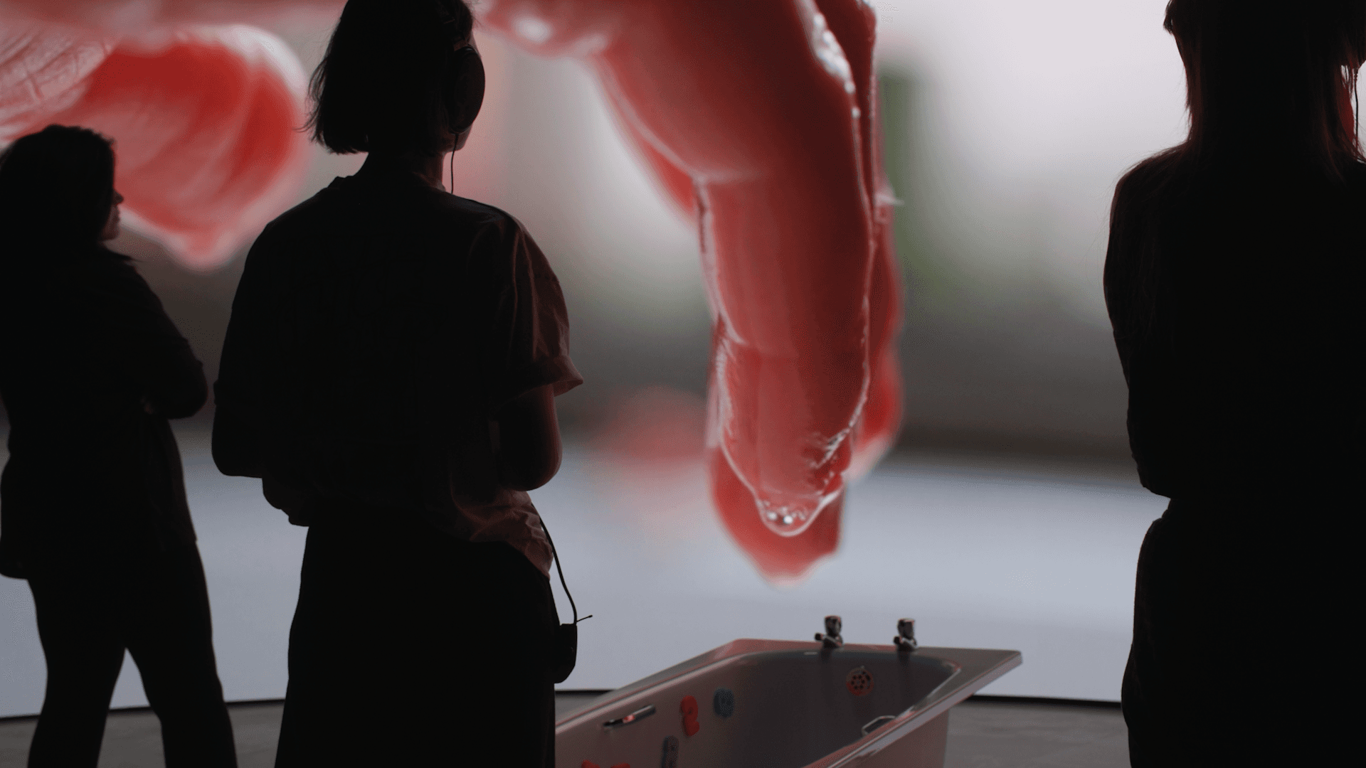 Dom Pérignon vineyards from the sky