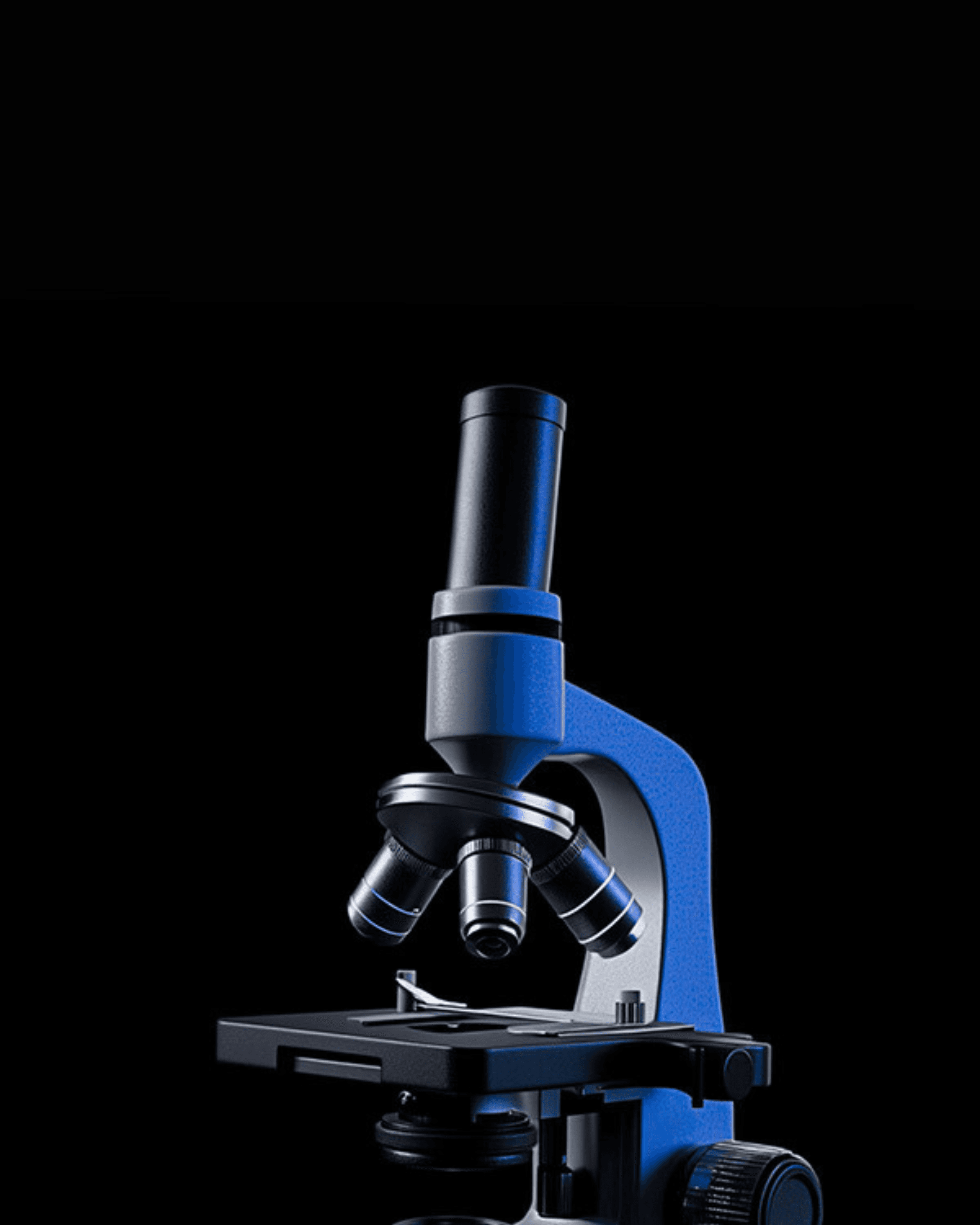 Revisione e refinitura | Entmynd