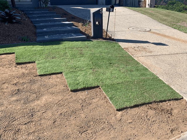 All Apsects Landscapes turf installation