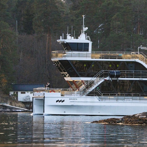 Электрический катамаран