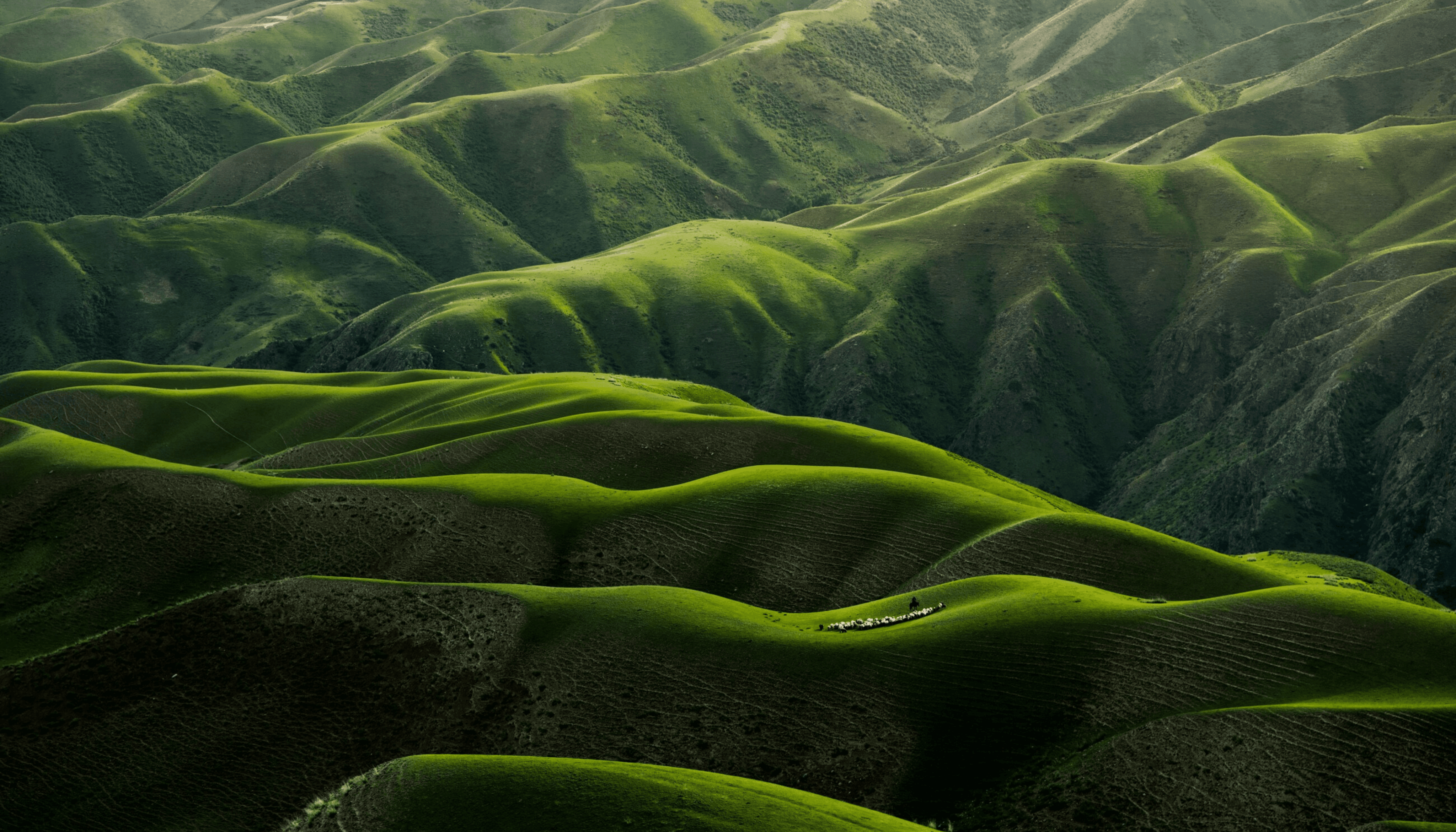 Hero image with abstract blue pattern