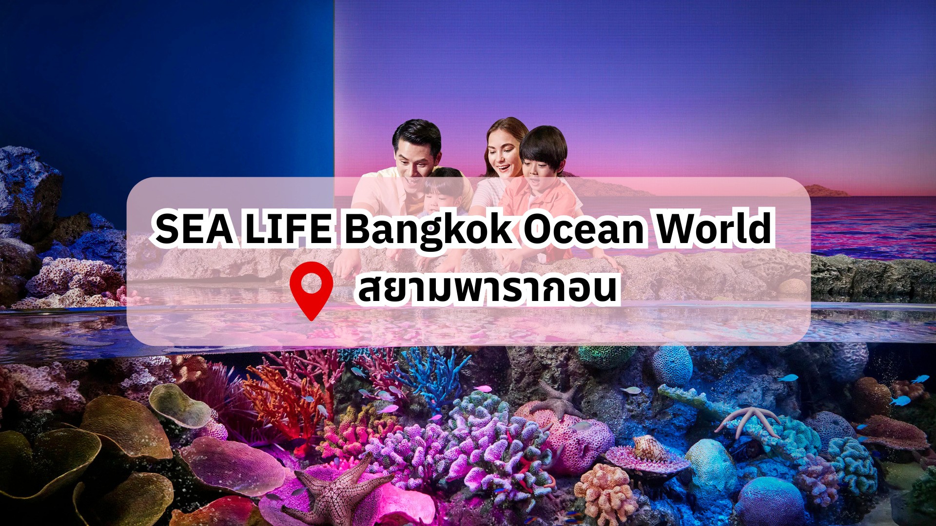 valentines-activities-sea-life-bangkok-ocean-world