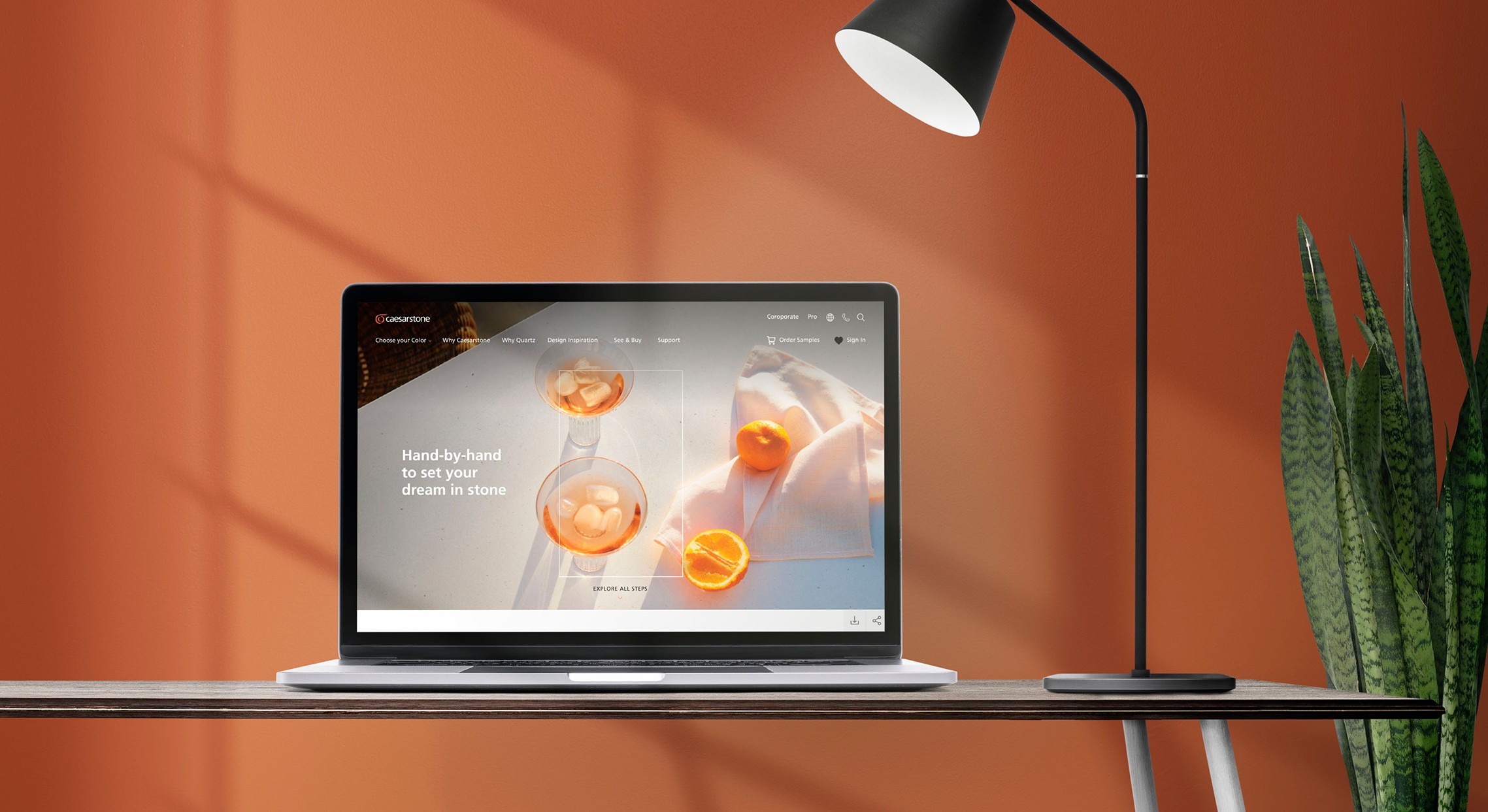 Project Gallery Image for 50% width of the screen #1