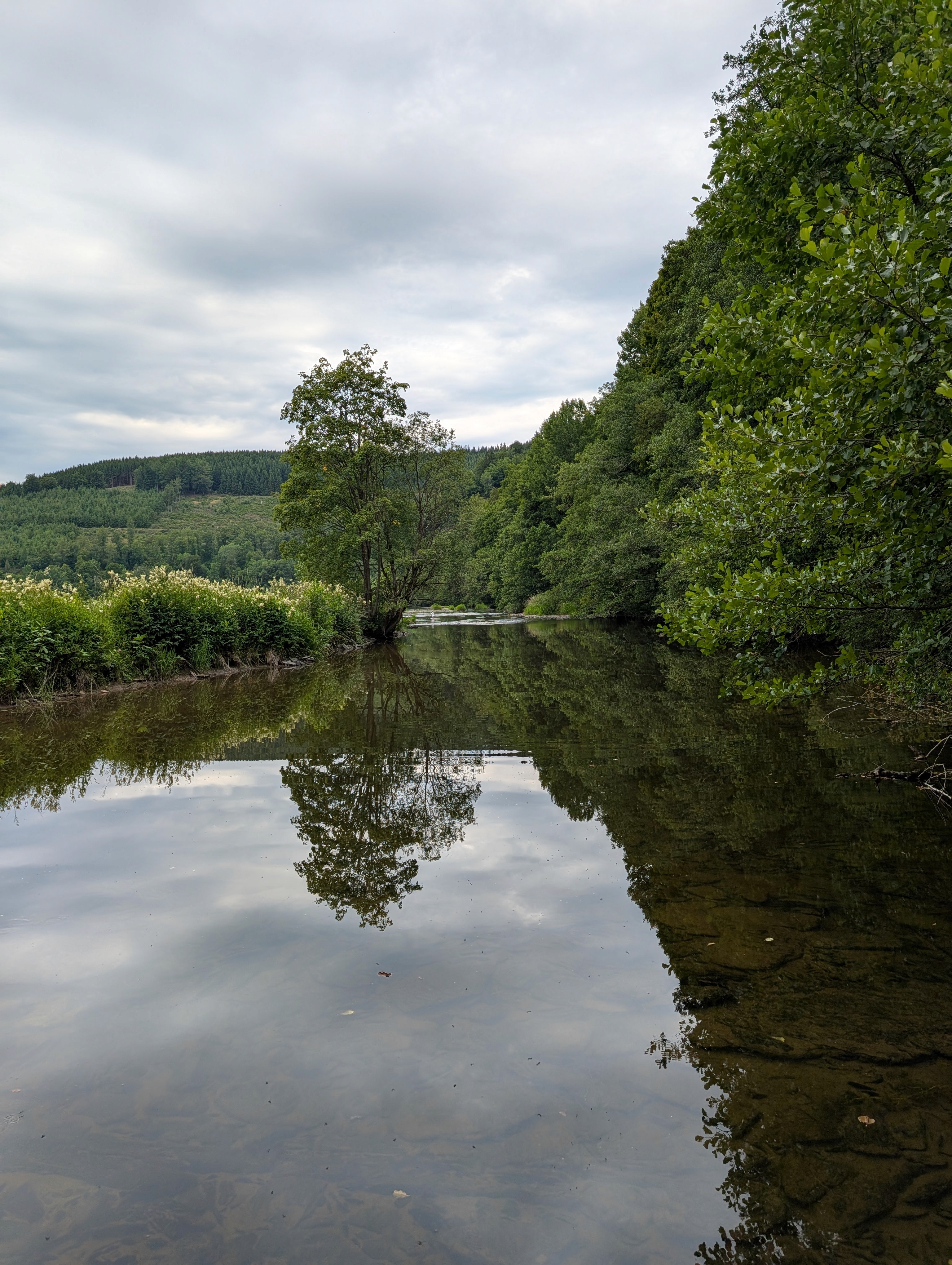Wappen Fischereiverein Surbach e. V.