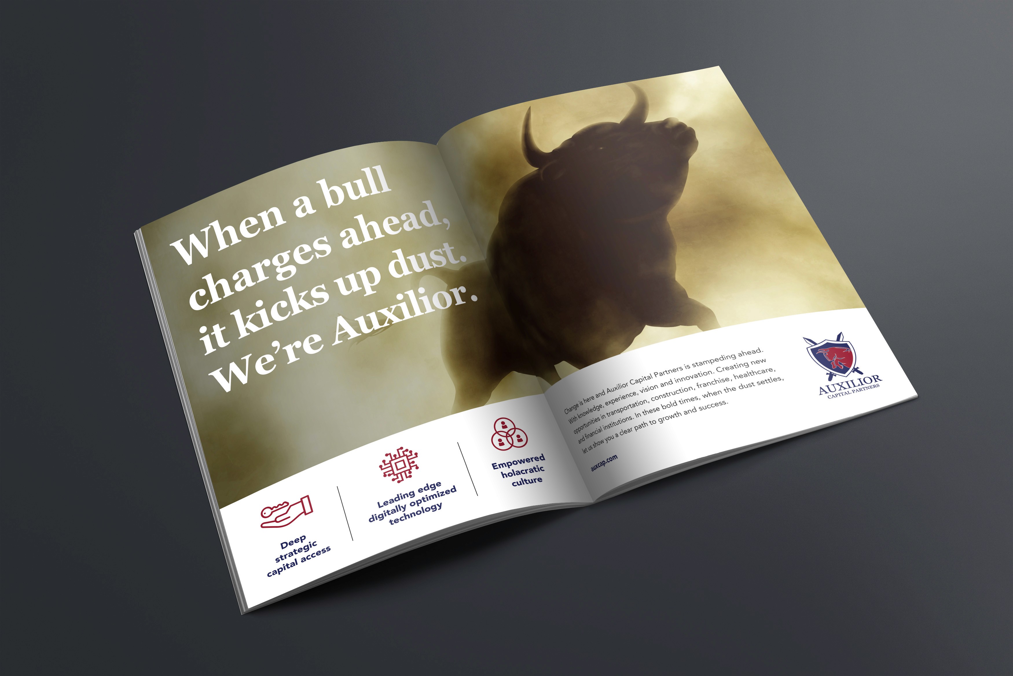 auxilior capital partners magazine ad
