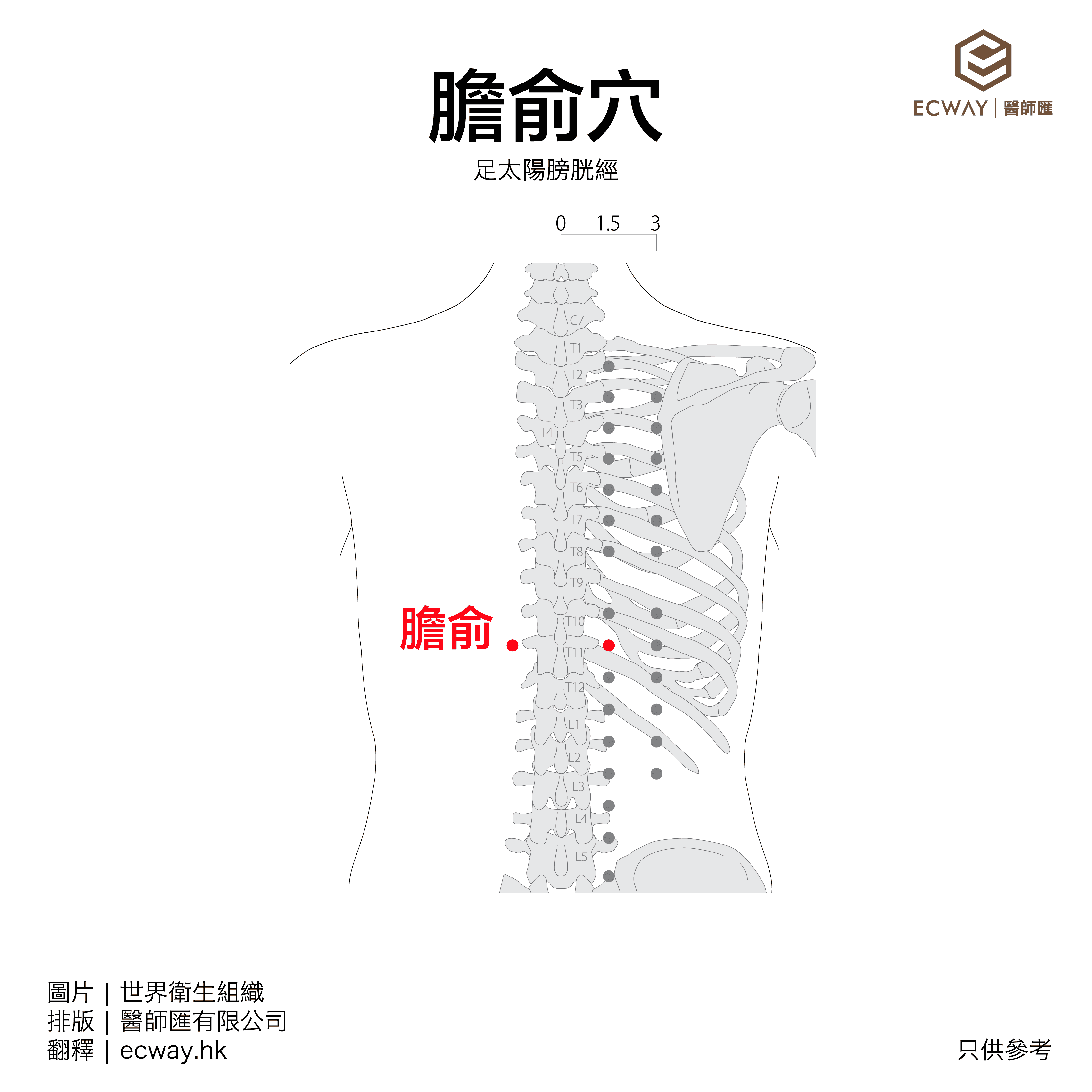 膽俞穴