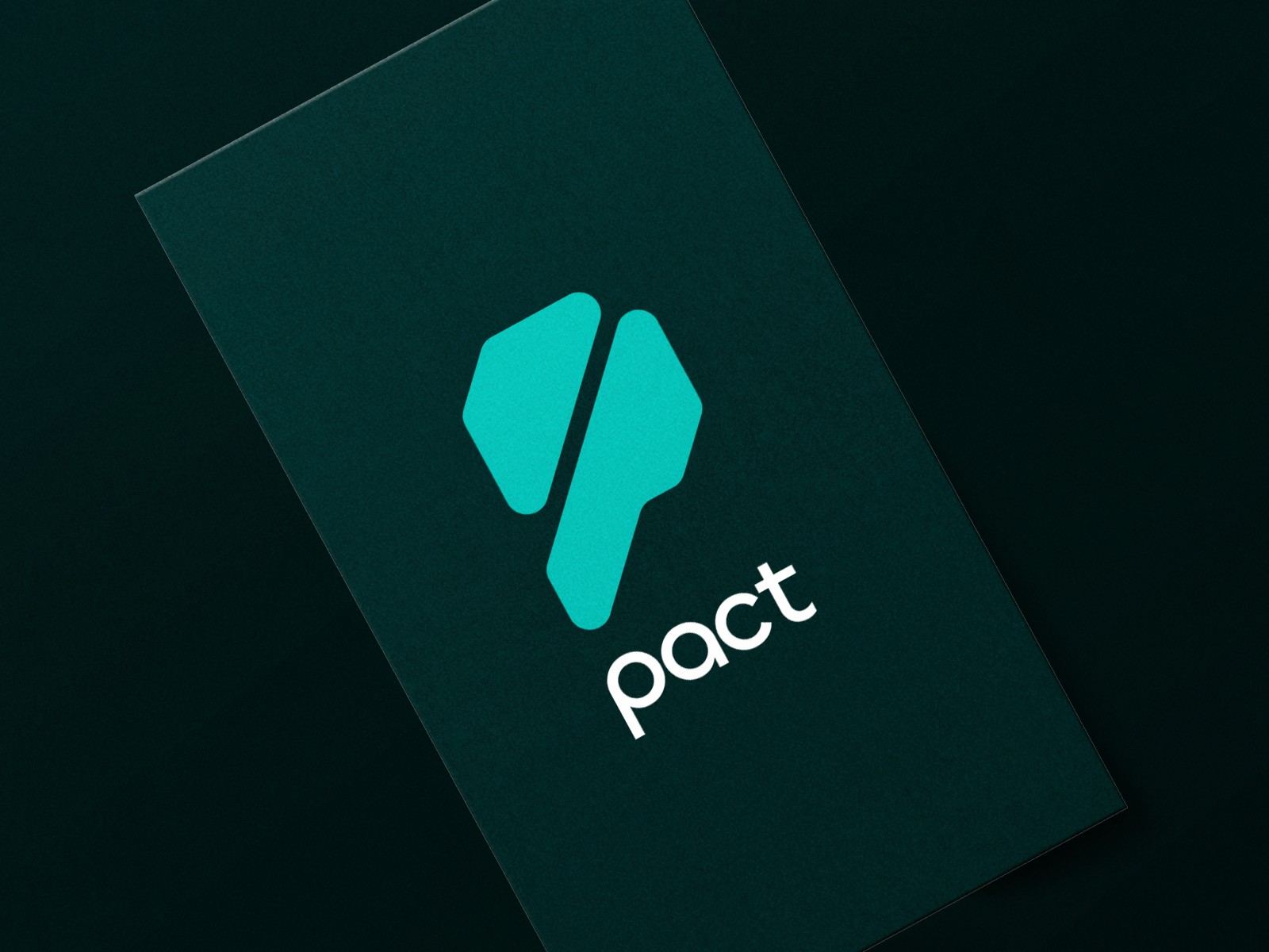 Pact cover image