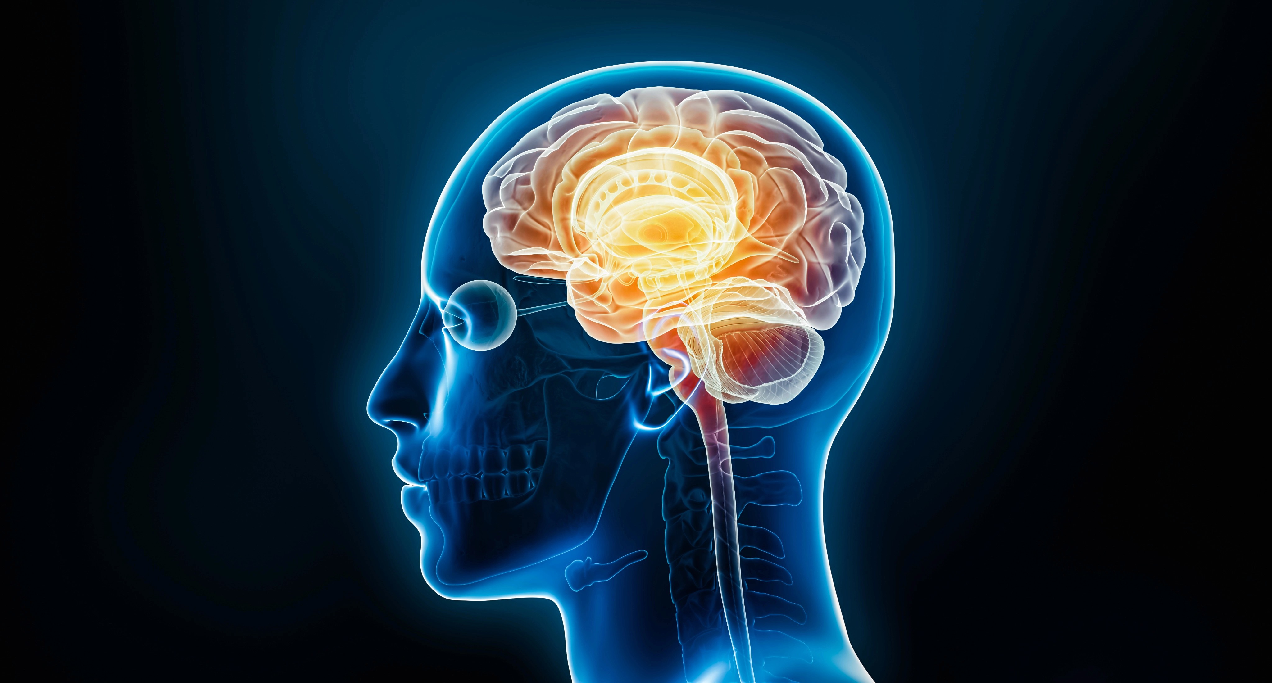 Brain Inflammation