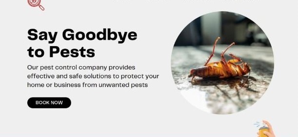pest control courses ecommerce website for sale