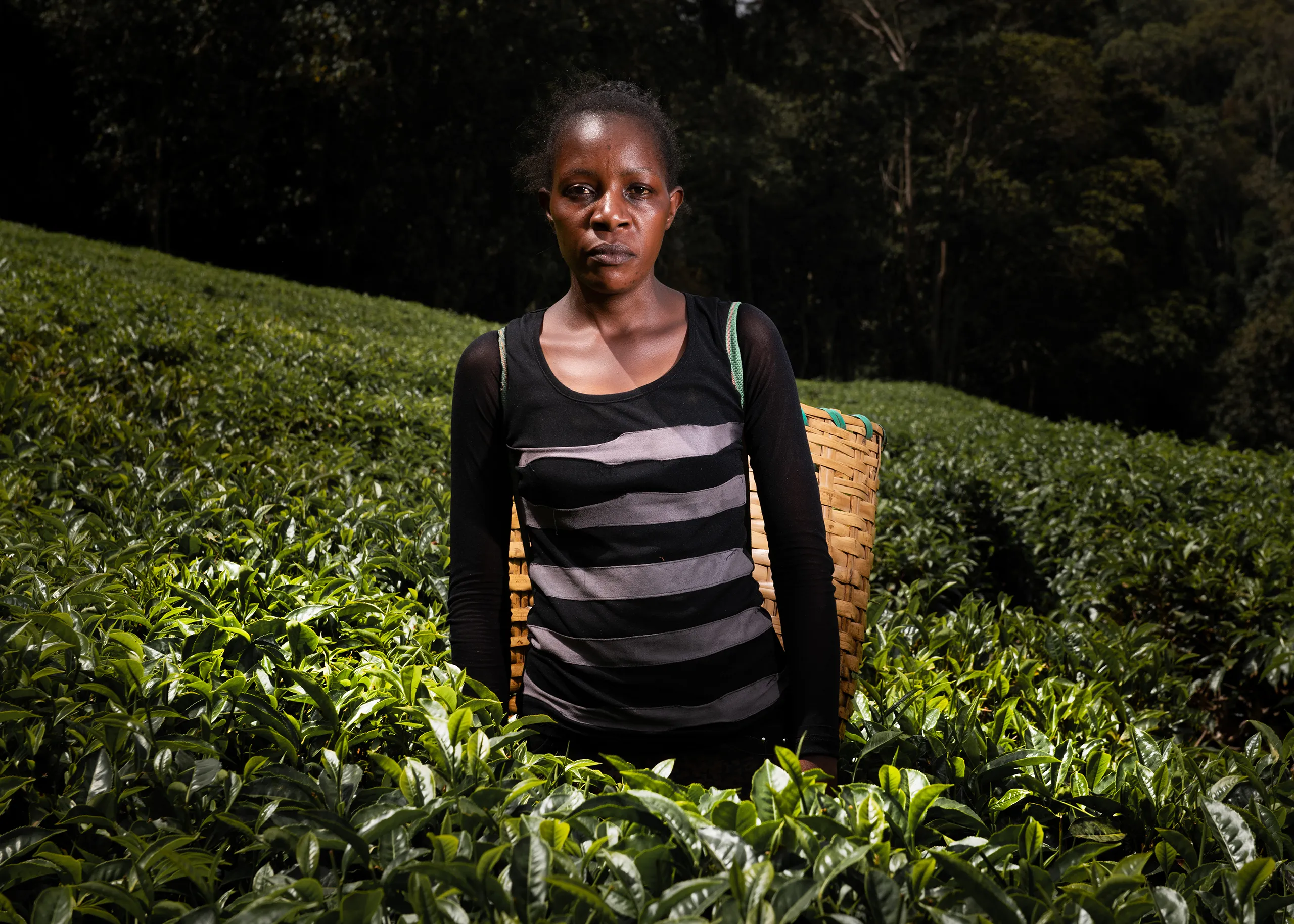 Candid portrait of a young female Kenyan worker in a black and white striped shirt within a tea field.