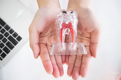 Intraoral Cameras