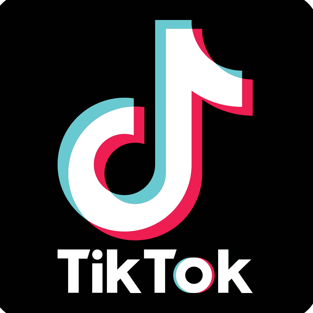 TikTok Logo