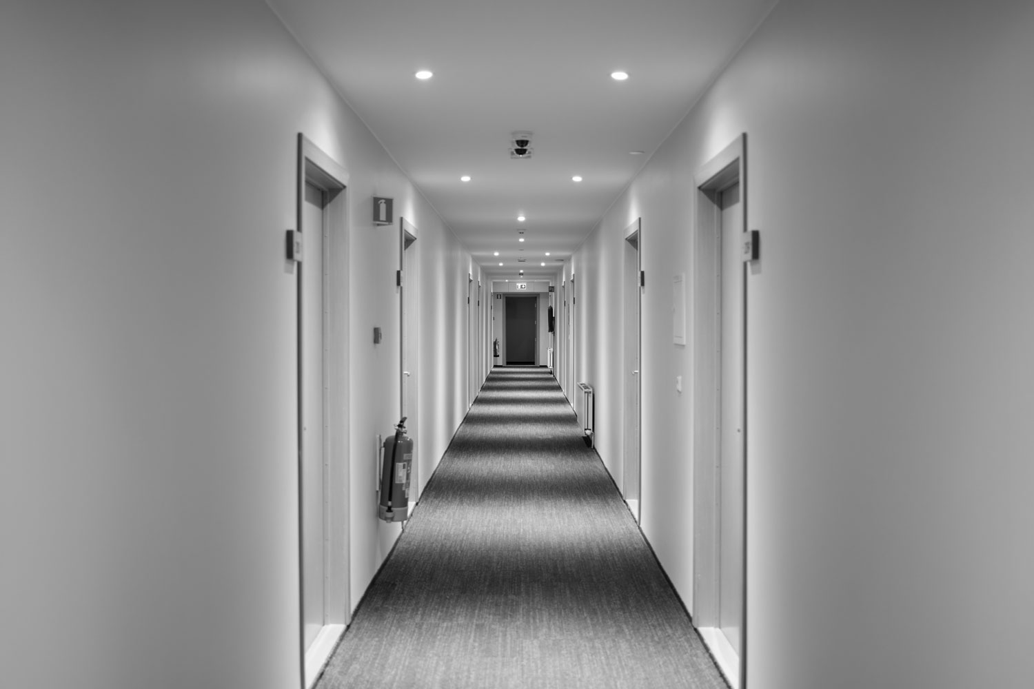 a couple of green signs hanging from the ceiling