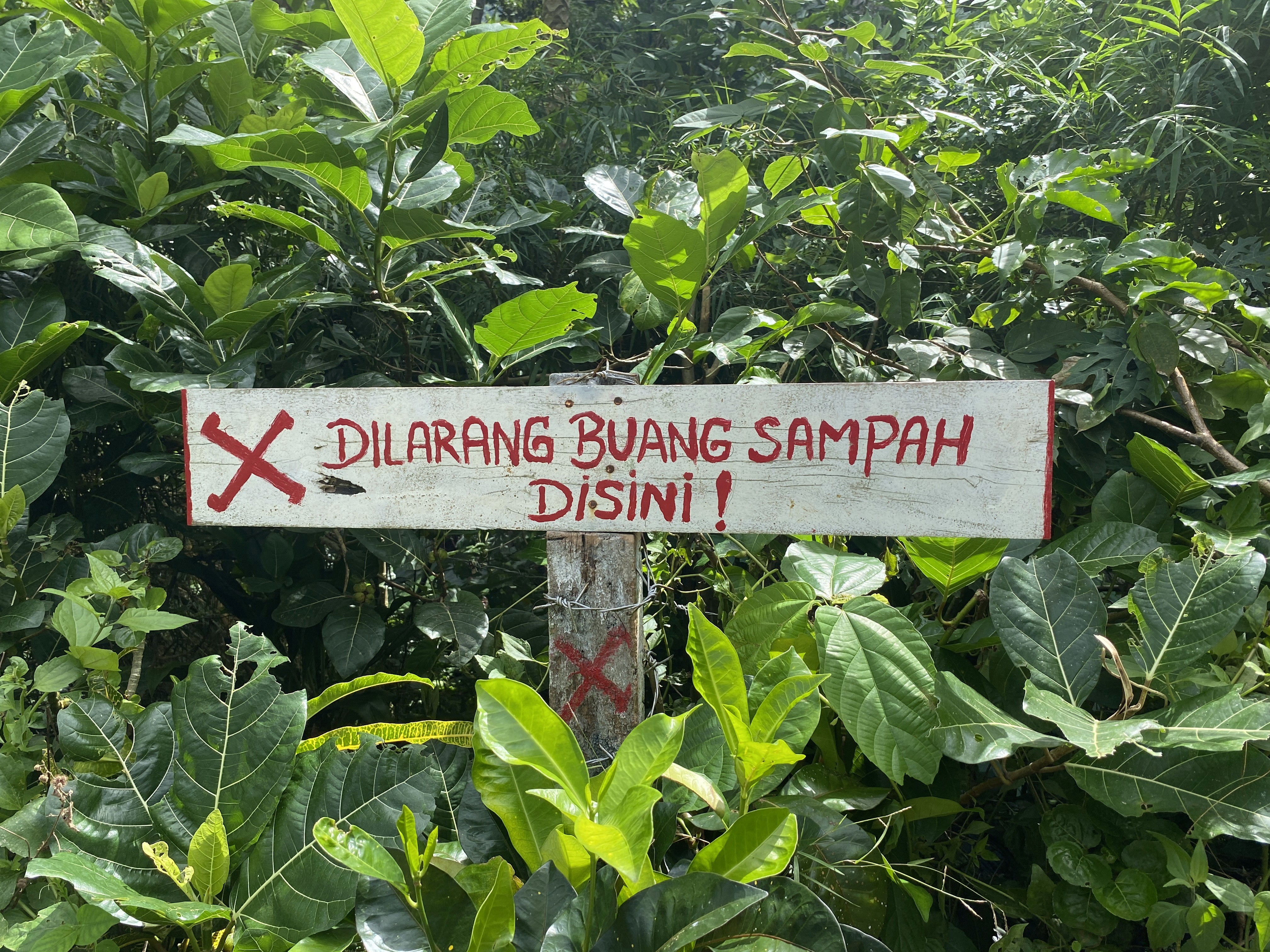 Ancaman berdemokrasi, kebebasan bicara dan berpendapat di Indonesia