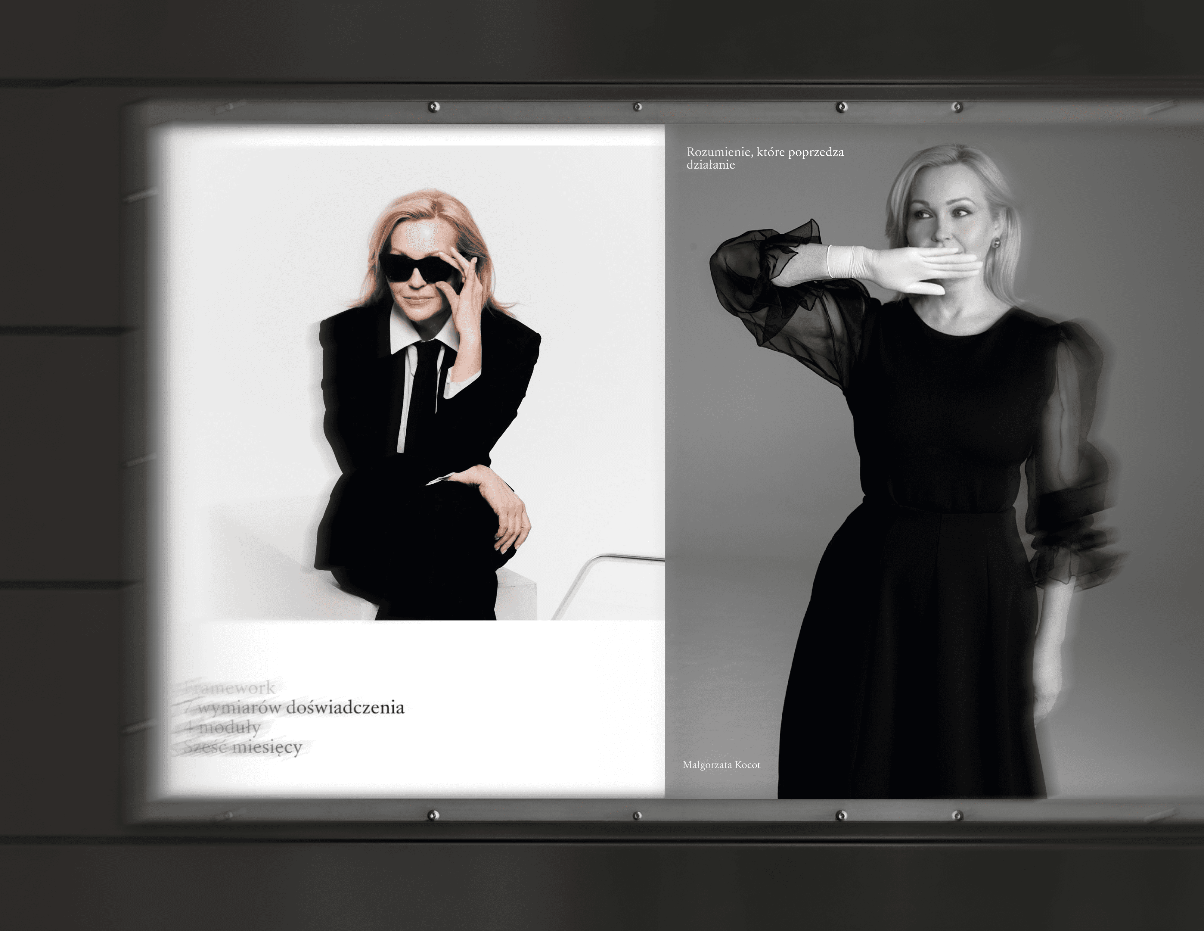 Billboard Design for Małgorzata Kocot