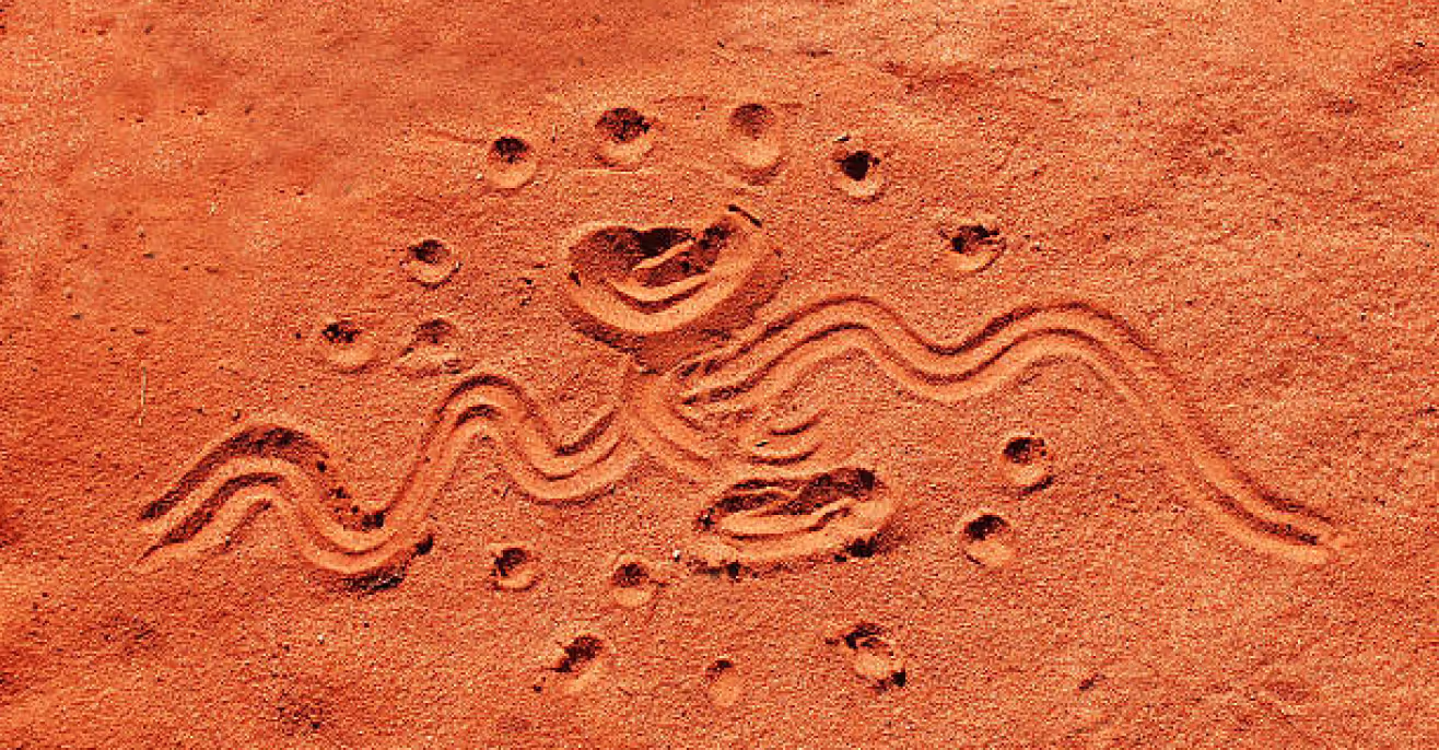 Serpent and animal track designs drawn into red desert sand