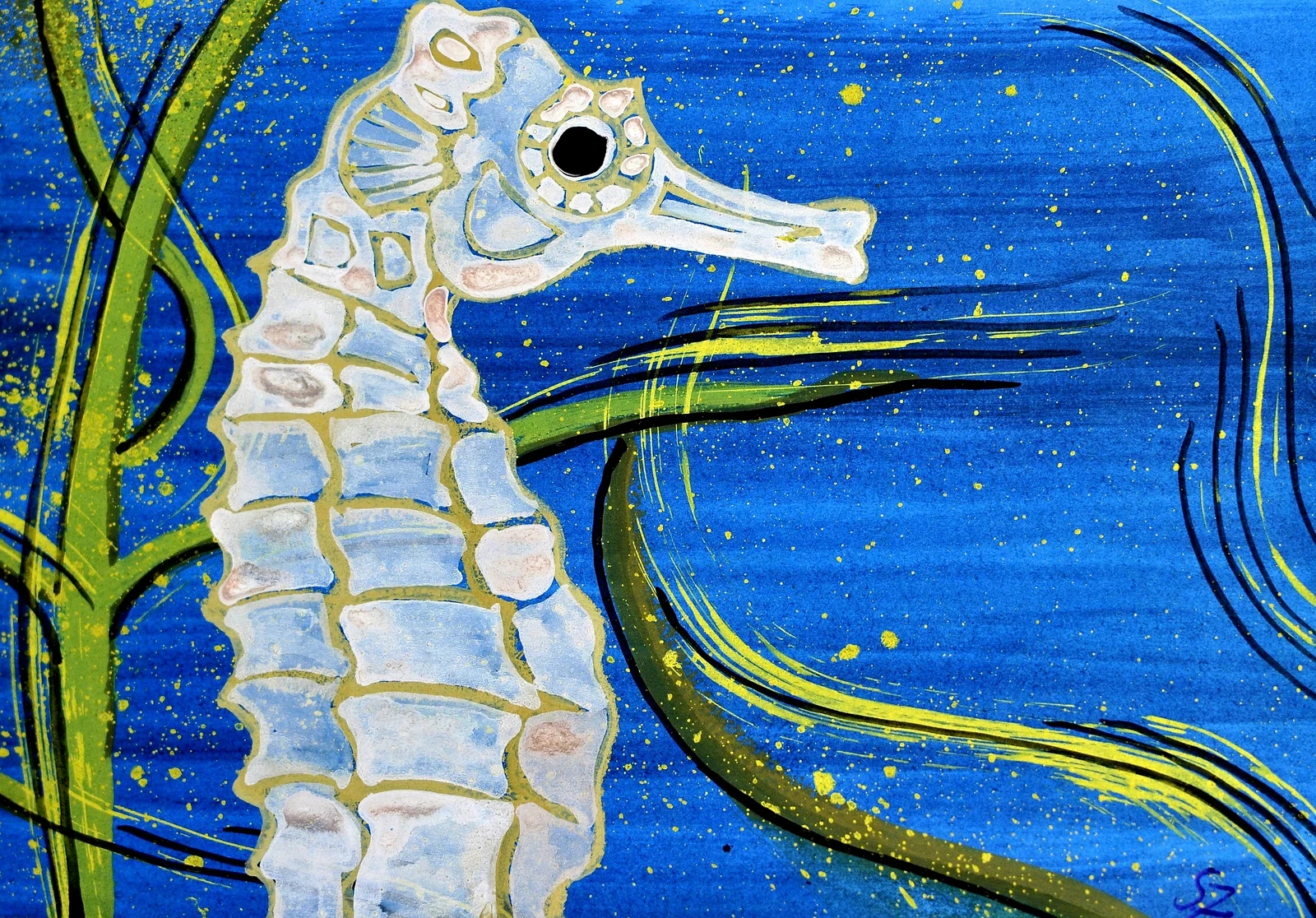 Tiere 13
