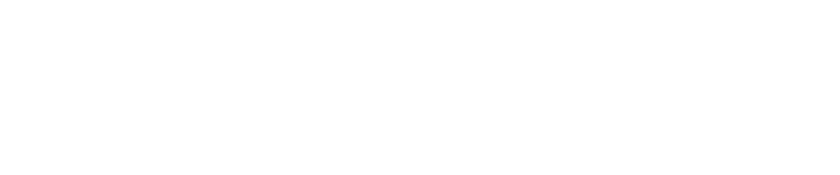 Rittwerk Pferdetransport Wortbild Marke Logo