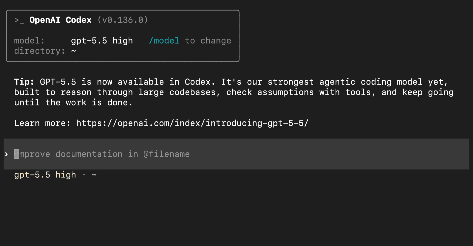 Codex terminal