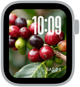 Toasted Cream Apple Watch face preview 2 featuring autumn.