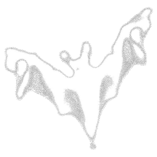 Portrait of portfolio creator – back view