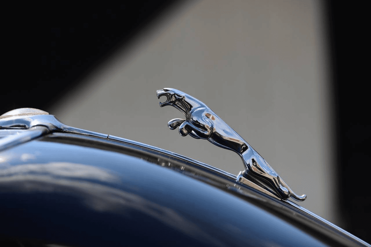 A bartender pouring liquor into a shot glass