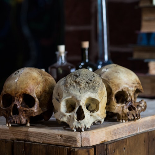 厌倦死亡：切斯特入场券