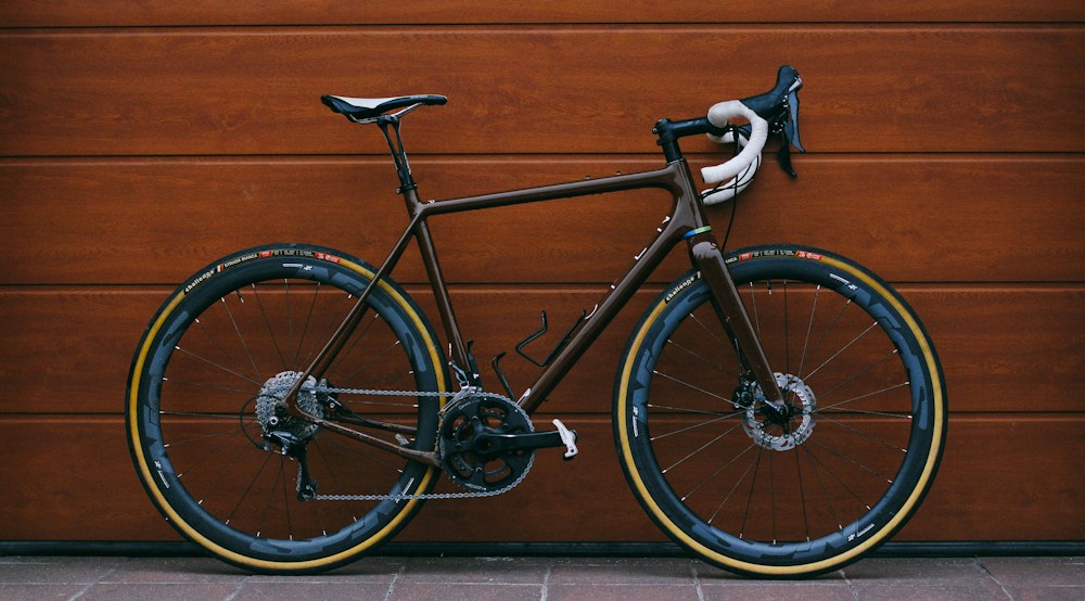 Endurance road bike with disc brakes against a wooden door