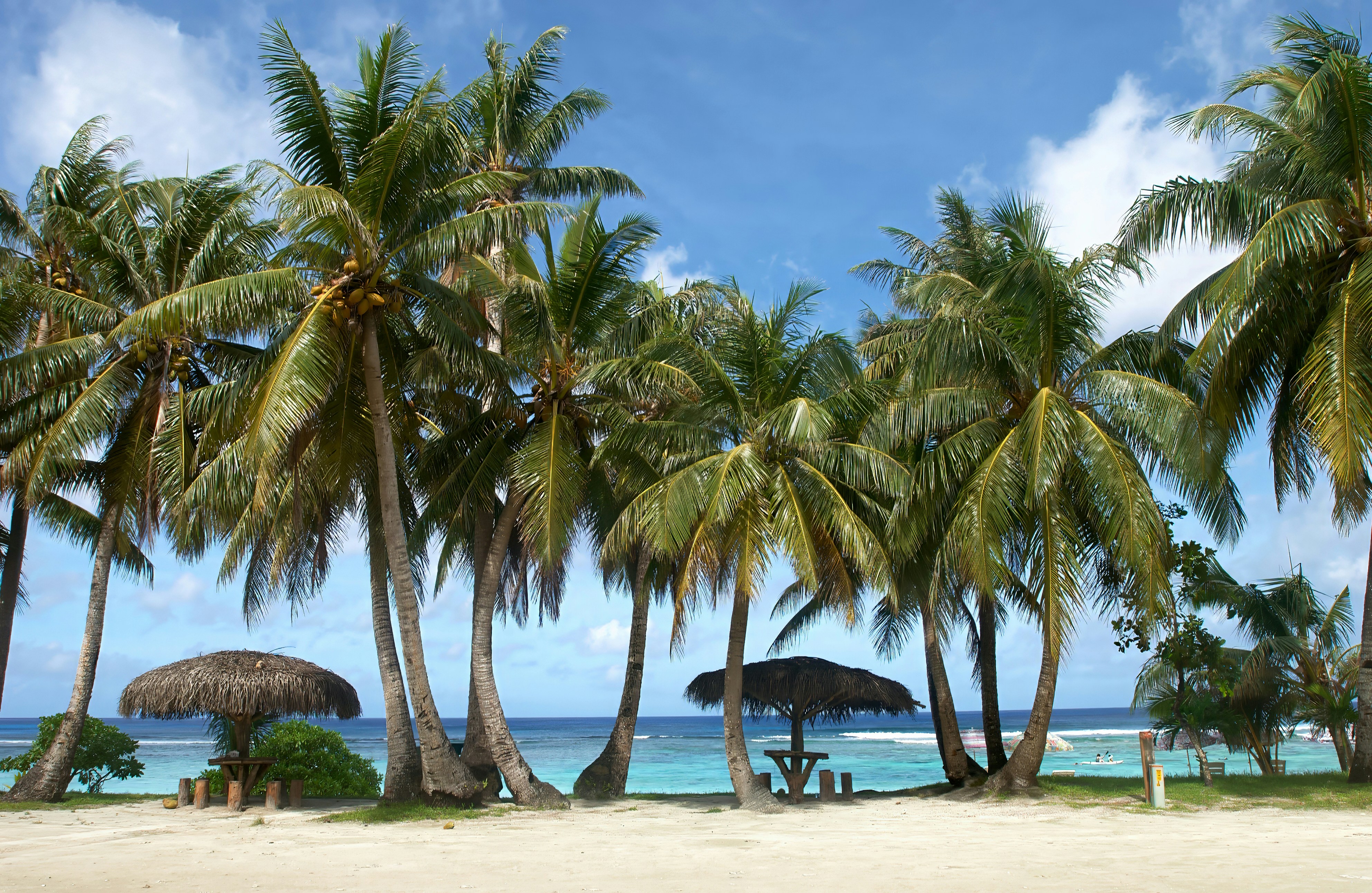 a sandy beach with palm trees and a thatched umbrella