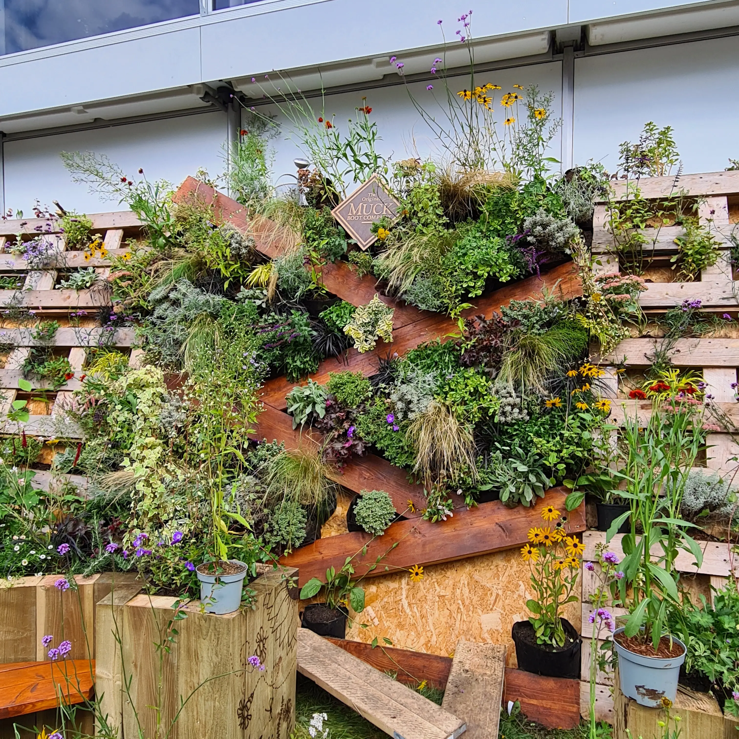 A vertical garden with various plants displayed on wooden shelves against a wall, creating a lush green backdrop.