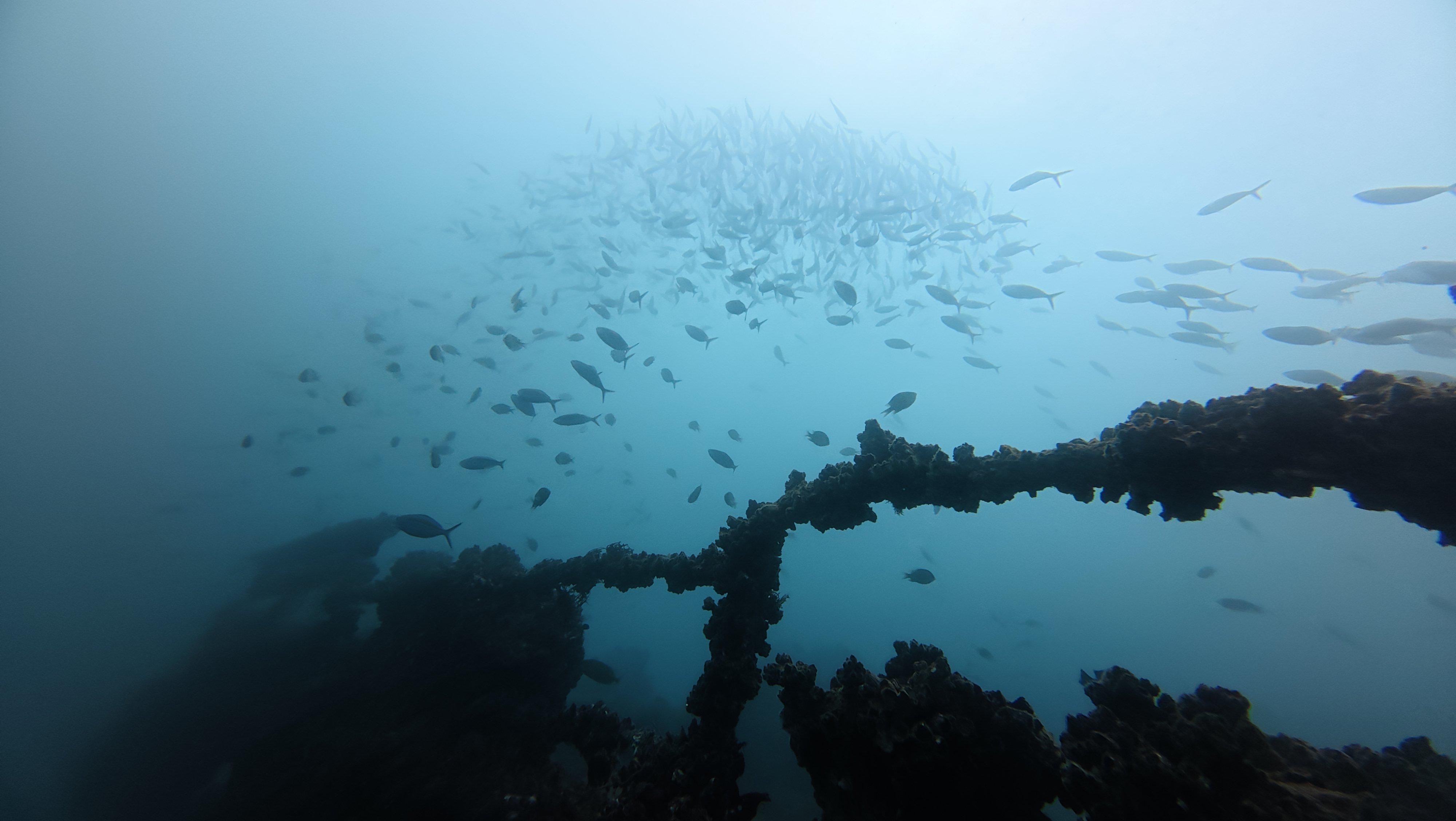 a group of women standing on top of a sandy beach