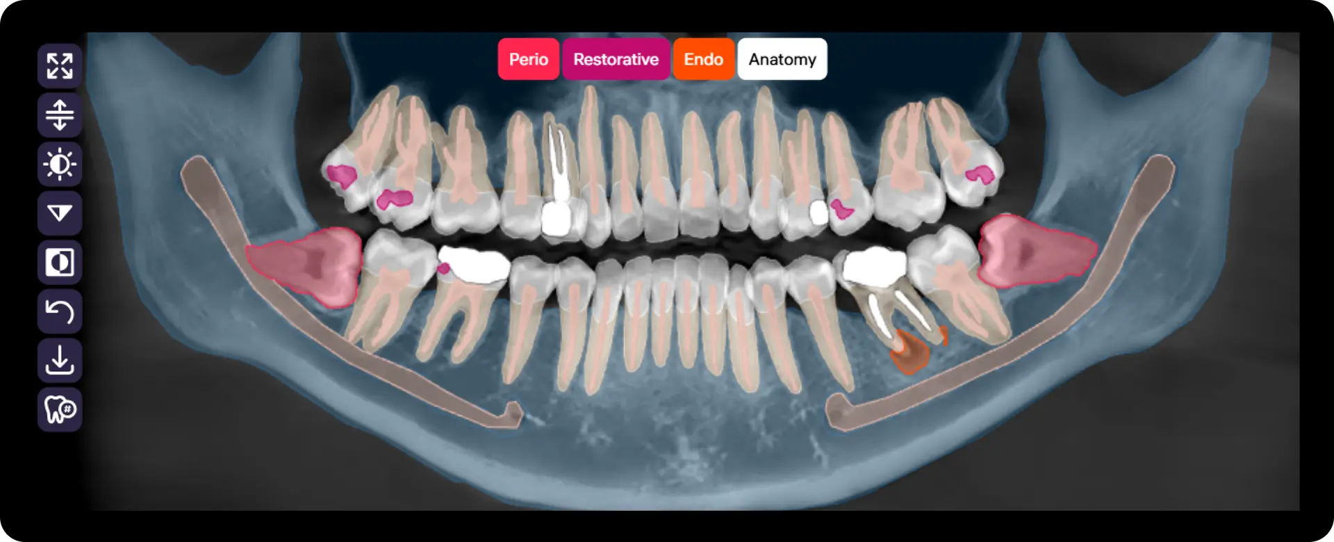 Predict What’s Next Before It Happens