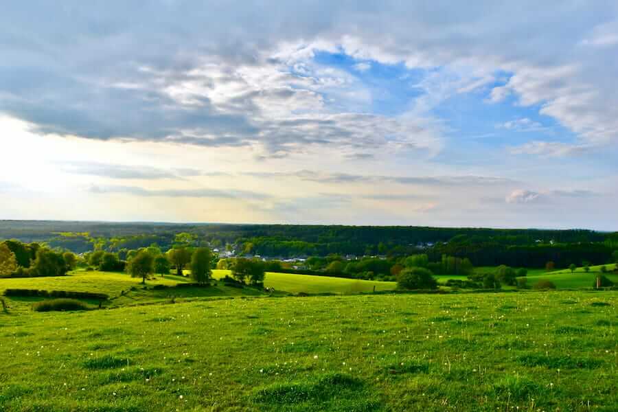 Grüne Wiese mit einzelnen Bäumen und blauer Himmel mit einigen Wolken am Horizont