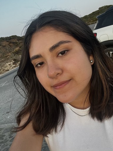 Person Image