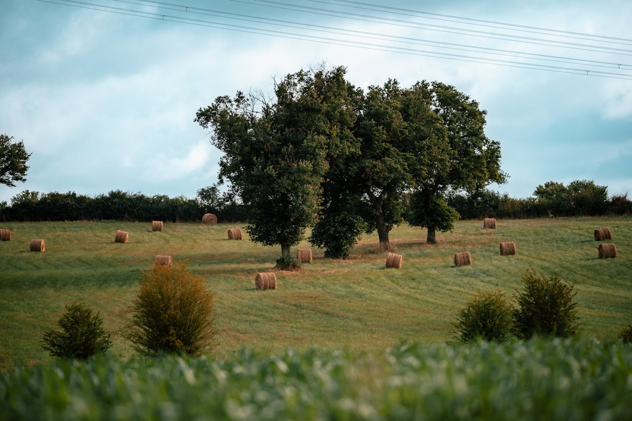 farmland in Indiana