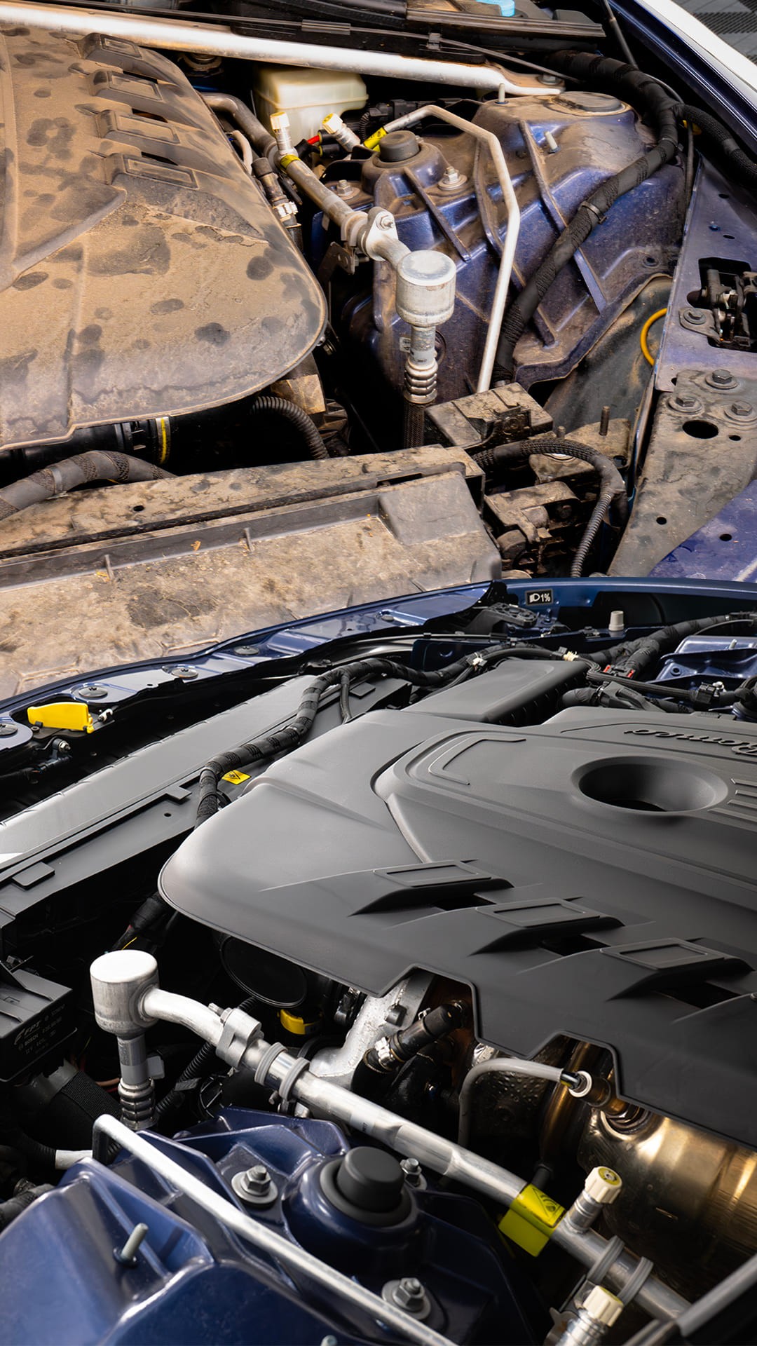 Detailing motore