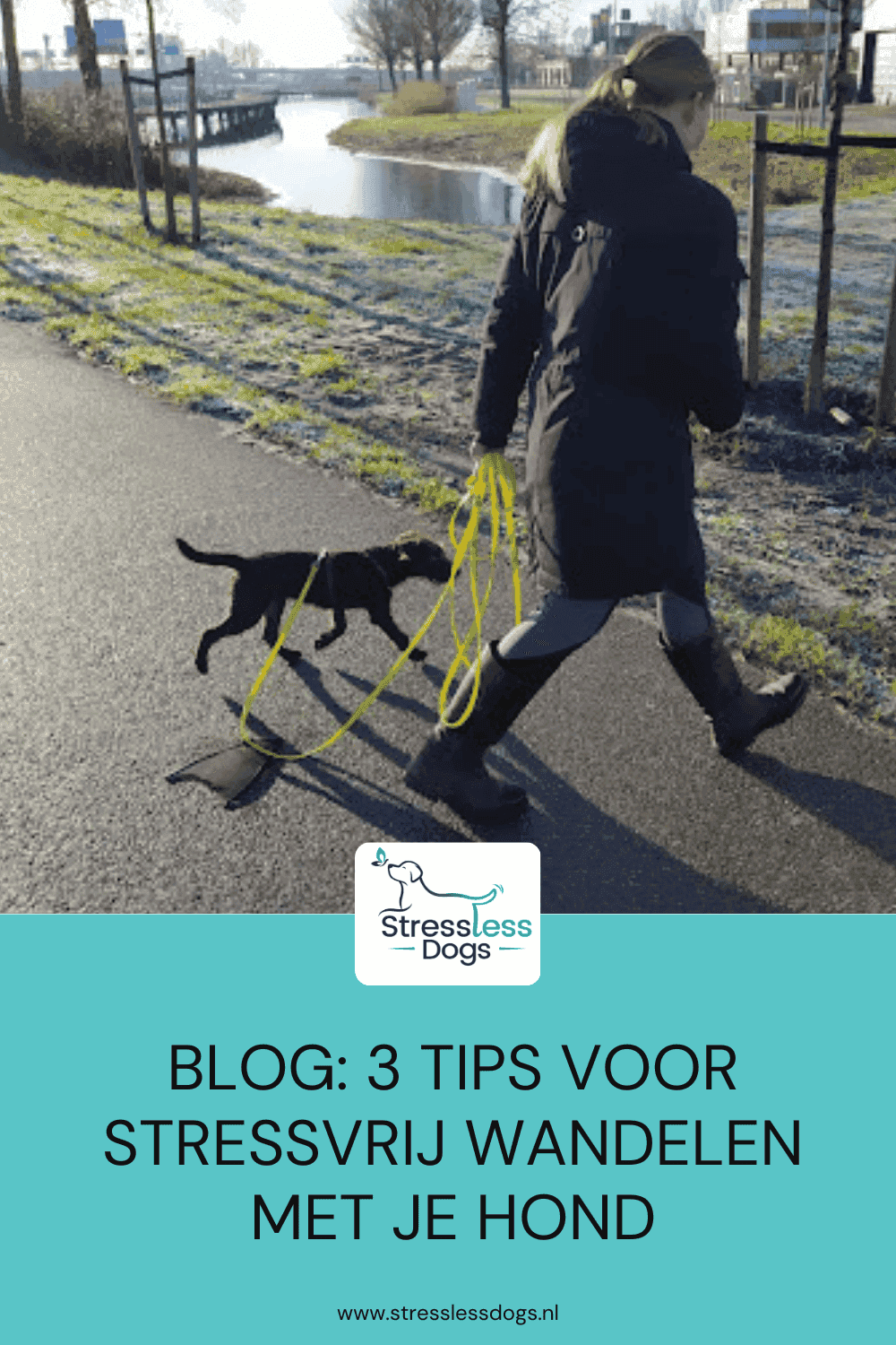 Stressvrij wandelen met je hond: 3 concrete tips