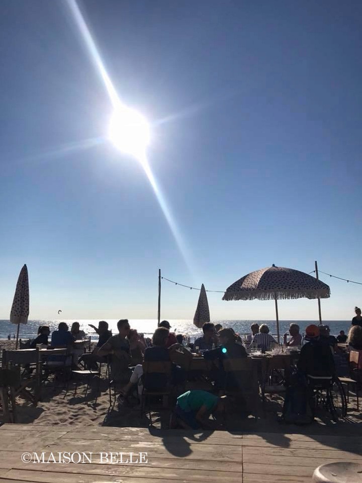 hippie fish zandvoort