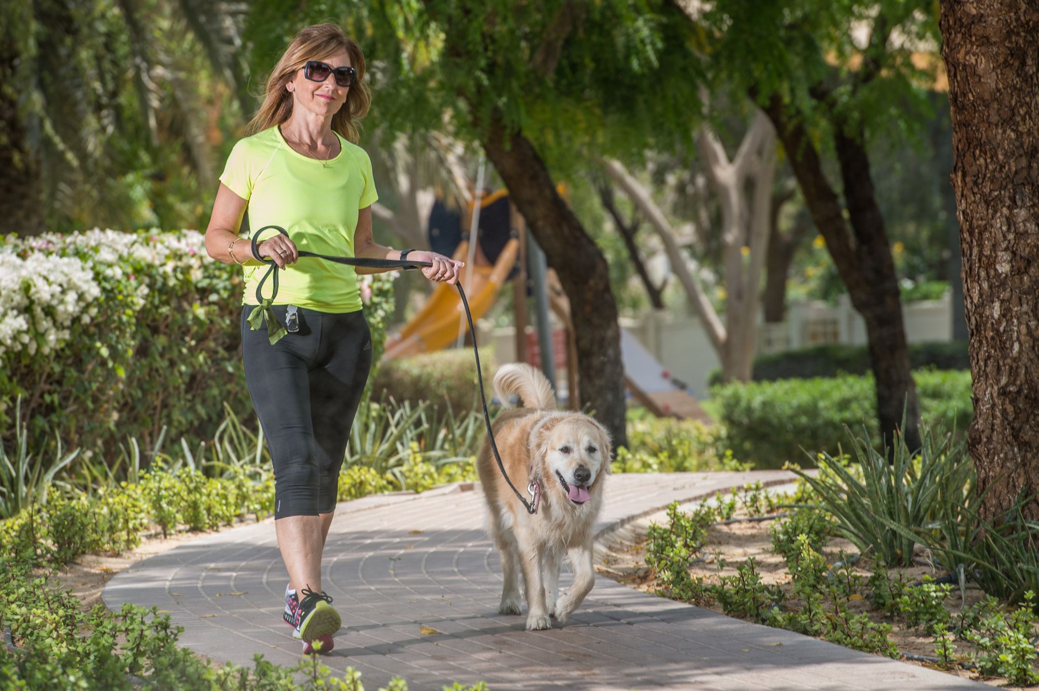 A woman walking her dog in the park walkways surrounded by trees, at Dubai Sports City.
