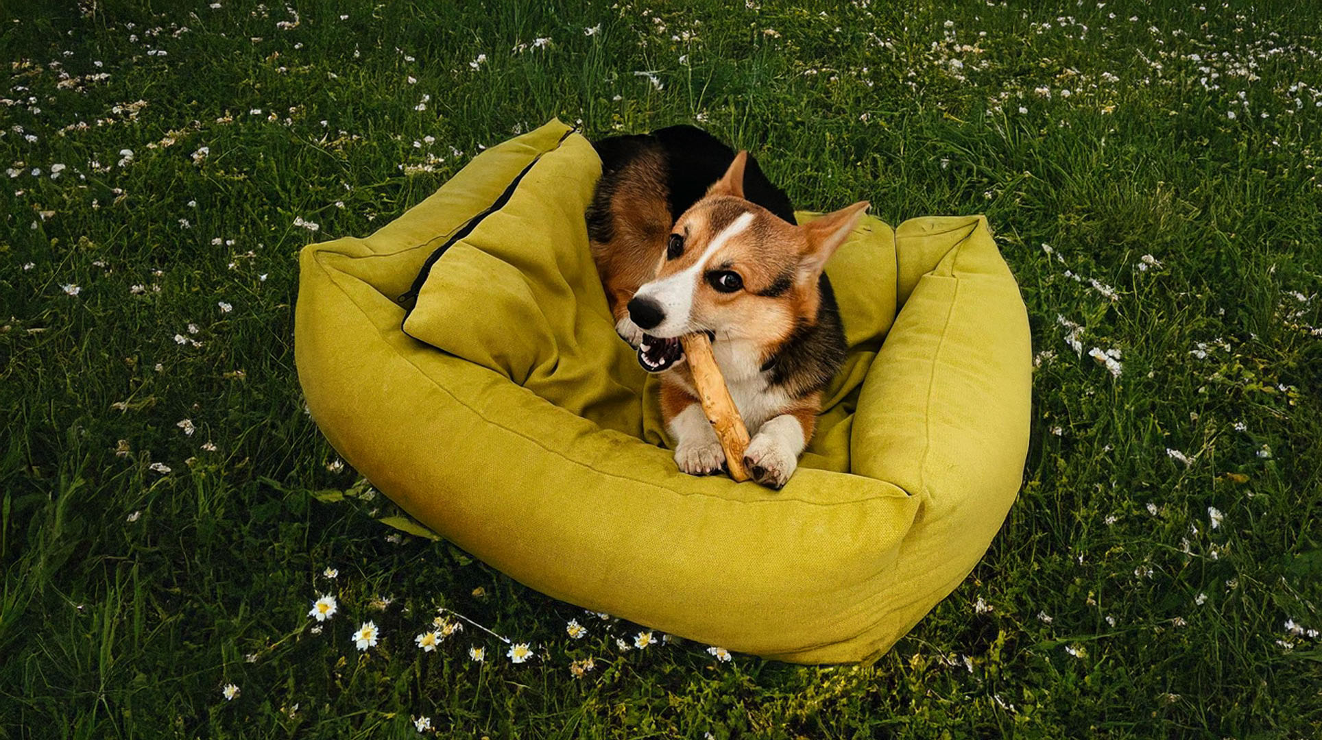 Modern home office setup with a monitor, ergonomic chair, keyboard, and indoor plants near a window with blinds.