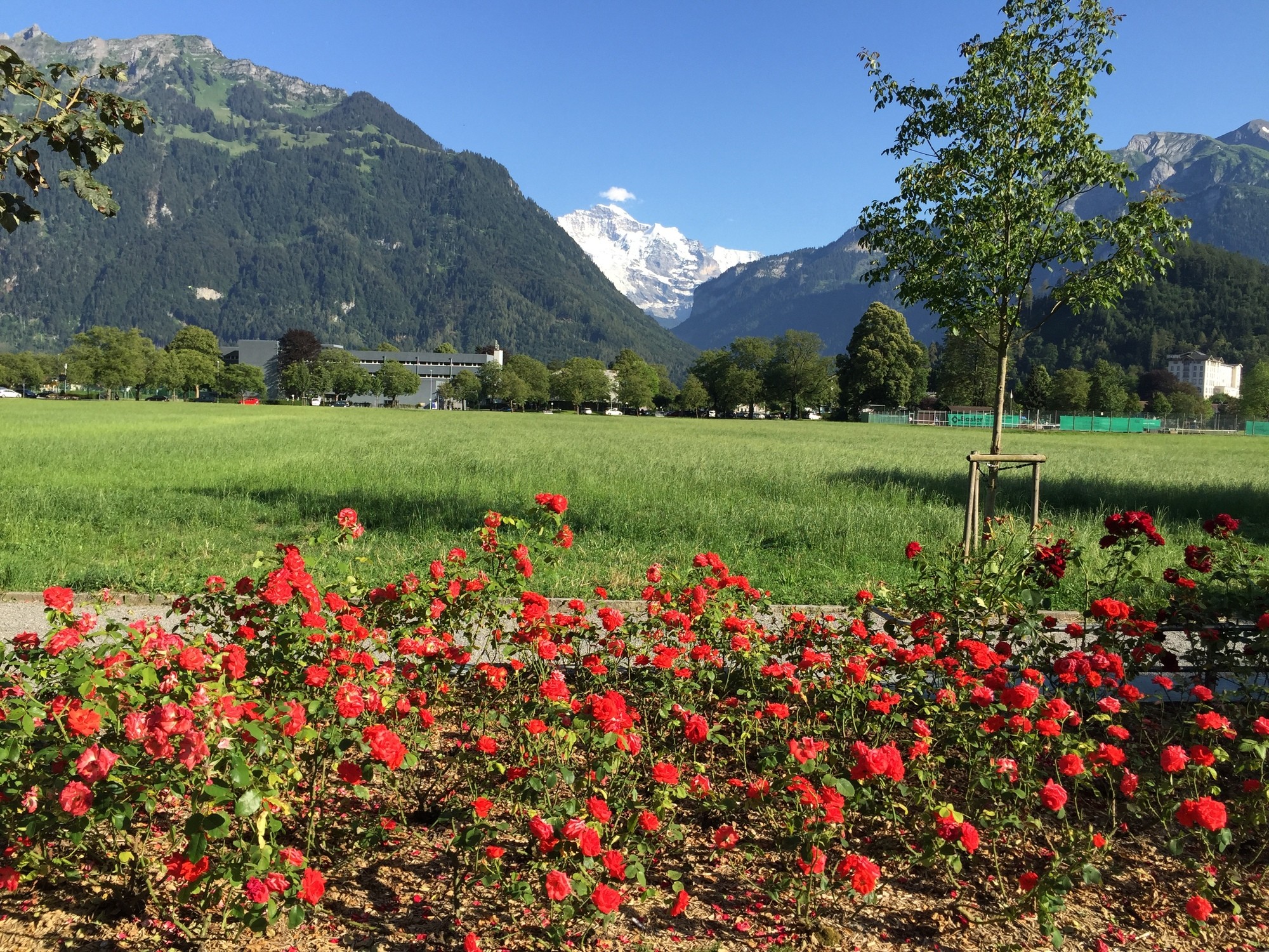 photography of dam during daytime