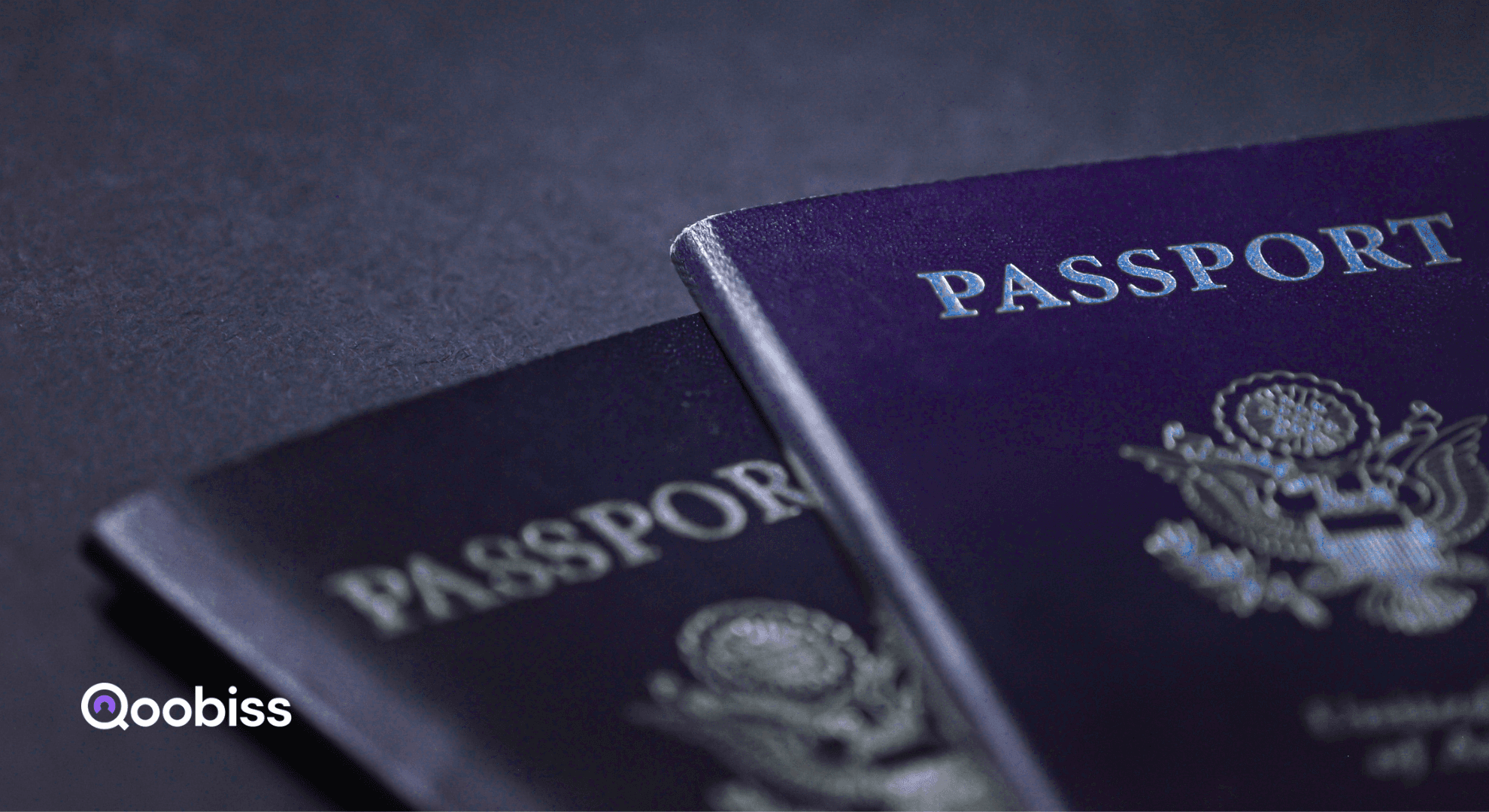biometric passport